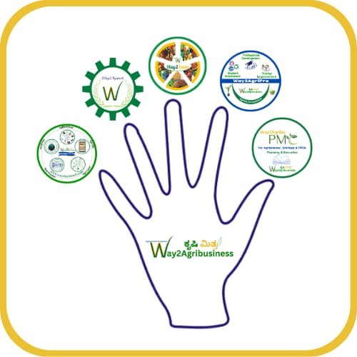 Five for Five Logo